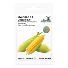 Кукурудза цукрова Оверленд F1488